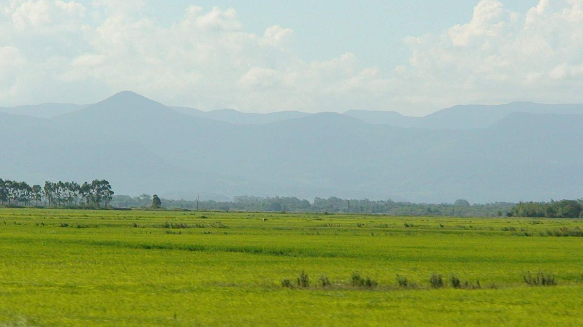 The Pampas: South America's Verdant Canvas | LAC Geo